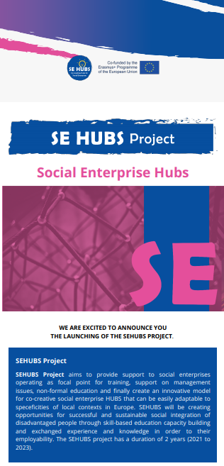 L'ultima newsletter di SEHUBS