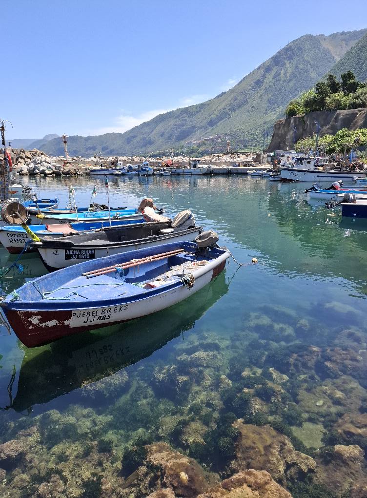 PRISM in Algeria: un passo avanti per il pescaturismo e la valorizzazione delle aree costiere