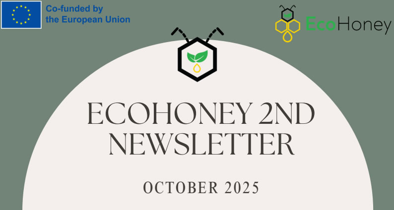 EcoHoney – Scopri la seconda newsletter del progetto!